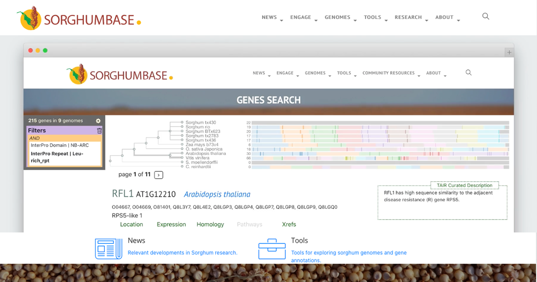 best database software for genomis